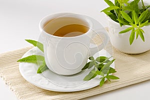 Lemon verbena herbal tea