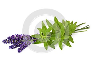 Lemon verbena and lavender