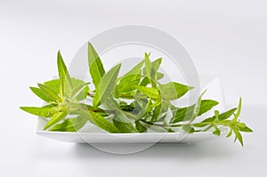 Lemon verbena leaves
