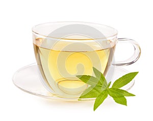 Lemon verbena tea and leaves isolated.