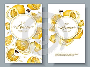 Lemon vertcal banners