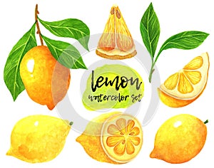 Lemon watercolor collection. Hand drawn illustration isolated on white background. Set of juicy ripe fruits. Citrus on a branch