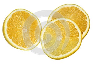 Lemon on a white background
