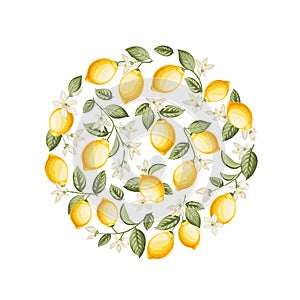 Lemon wreath illustration. hand-drawn citrus.