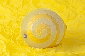 Lemon on a yellow background