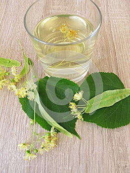 Lemonade with fresh tilia flowers