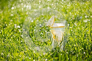 Lemonade in a glass on green grass