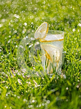 Lemonade in a glass on green grass