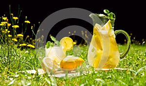 Lemonade in meadow
