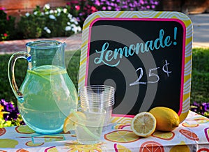 Lemonade for sale photo