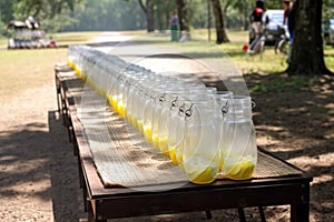 lemonade stand with rows of glasses and pitchers, ready for thirsty customers