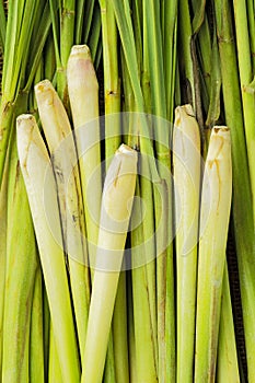 Lemongrass