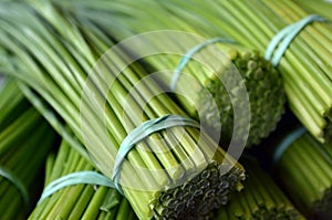 Lemongrass bunch