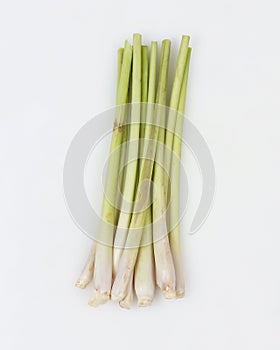 Lemongrass Cymbopogon citratus is a member of the grass tribe that is used as a kitchen spice to scent food.