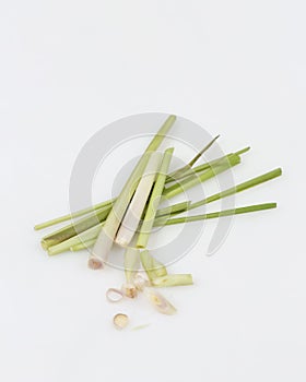 Lemongrass Cymbopogon citratus is a member of the grass tribe that is used as a kitchen spice to scent food.