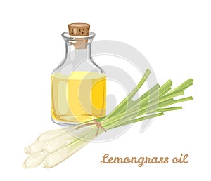 Lemongrass essential oil in glass bottle and bunch of aromatic herbs