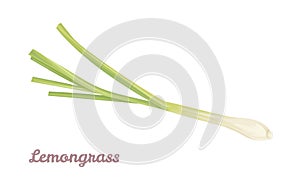 Lemongrass isolated on white background. Food icon