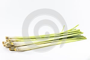 Lemongrass isolated on white background.Vegetable or herb and ingredient.