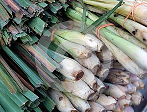 Lemongrass or lemon grass