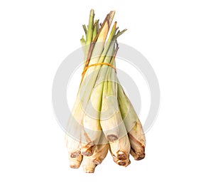 Lemongrass Over White IV