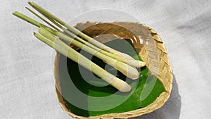 The lemongrass & x28;sereh, indonesian& x29; on a besek on green banana leaf photo