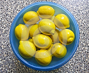 Lemons in a bowl with water