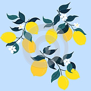 Lemons, branches and flowers