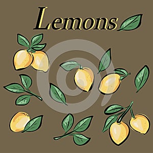 Lemons, citrus fruits, fruits, leaves. Vitamins, healthy nutrition, veganism. Pictures for wallpaper, for desktop. vector isolated