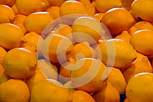 Lemons on display at market