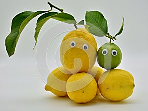 Lemons with eyes photo