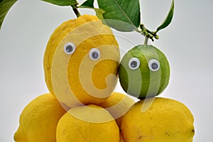 Lemons with eyes photo