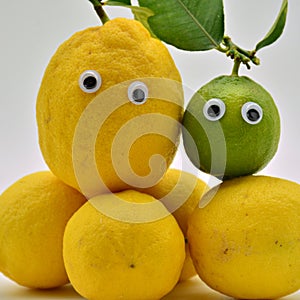 Lemons with eyes photo