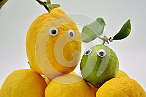 Lemons with eyes photo