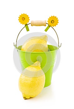 Lemons in green bucket on white