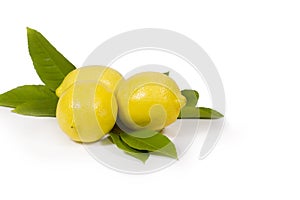 Lemons & Leaves photo