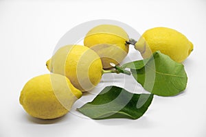 Lemons with leaves on white