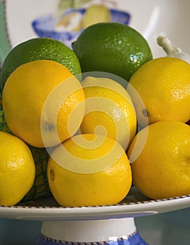 Lemons Limes Bowl Detail