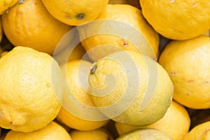 Lemons on the market. Juicy lemons background. Yellow fruits. Heap of ripe lemons. Yellow color background. Citrus harvest.