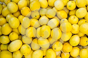 Lemons photo