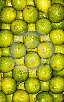 Lemons regular ordered pile background. Macro
