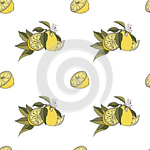 Lemons seamless fresh organic citrus summer fruits vector eps pattern on white background