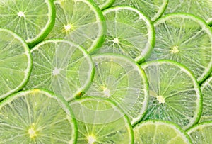 Lemons silce circle use for on background