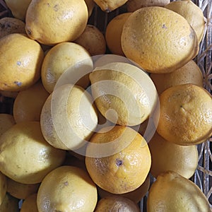 Lemons sold by traders at the market