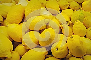 Lemons on a store counter close-up. Fresh lemon on a counter supermarket