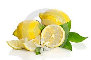 Lemons tree flower and a lemon