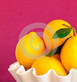 Lemons in a white bowl with magenta background