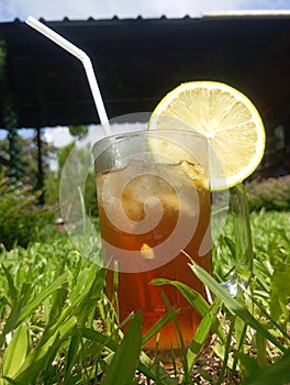 Lemontea and nature