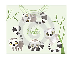 Lemur animal baby illustration set of objects