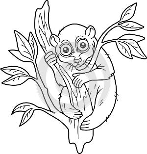 Lemur on a branch