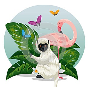 lemur with flamish and butterflies animals with leaves photo